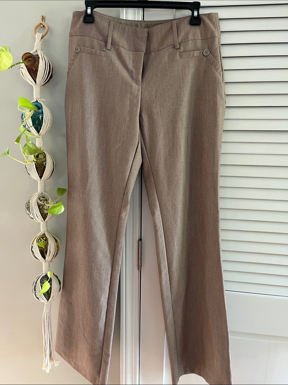 Joe B Taupe trousers